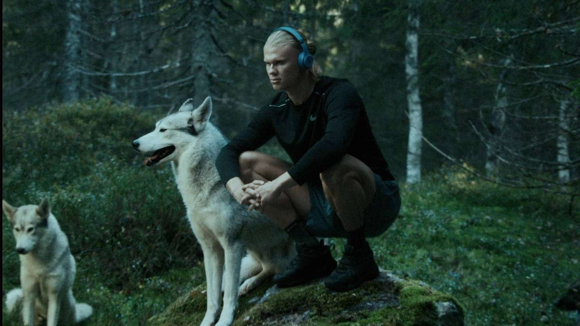 展现了在竞 展现了在竞