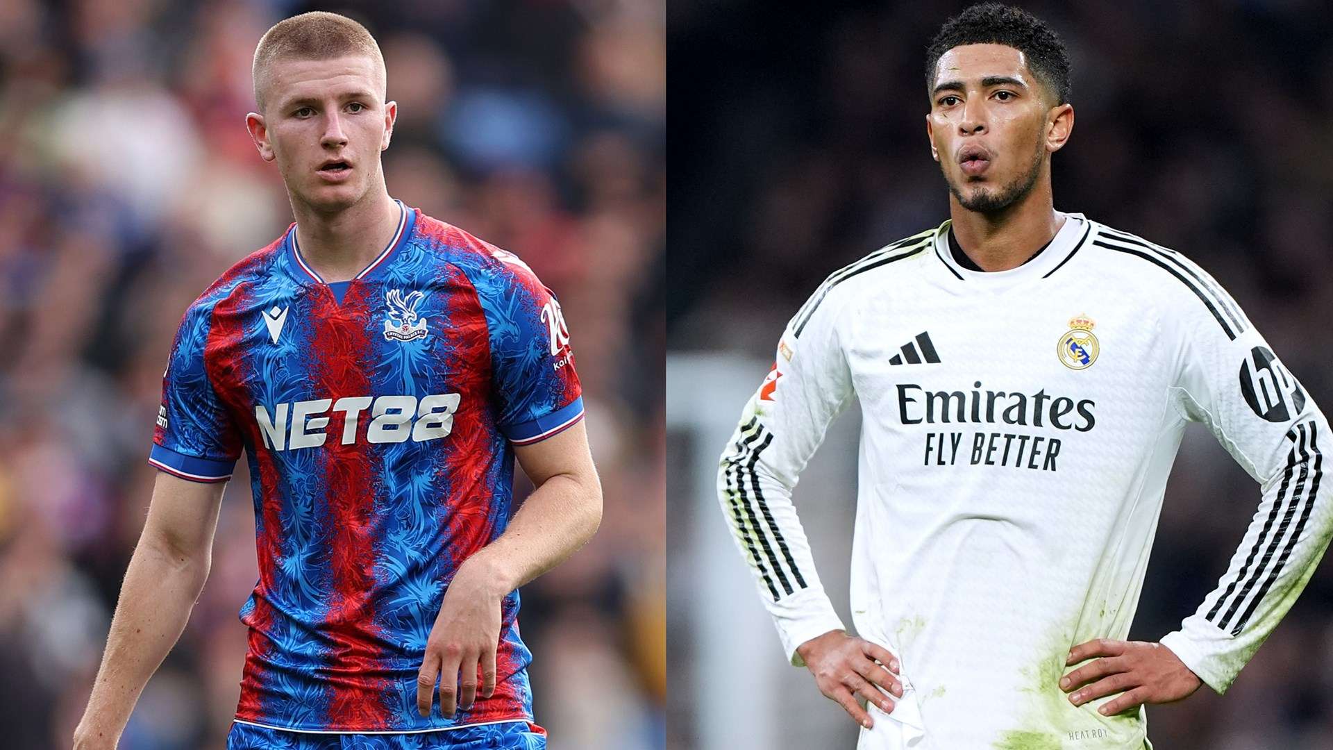 的亲和力和 的亲和力和